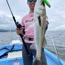 アマテラス 釣果