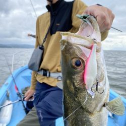 アマテラス 釣果