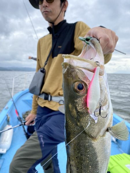 アマテラス 釣果