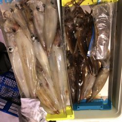 海龍丸（石川） 釣果