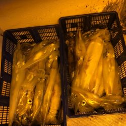 海龍丸（石川） 釣果