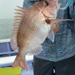 新幸丸 釣果