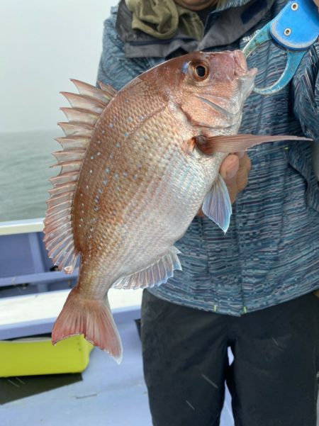 新幸丸 釣果