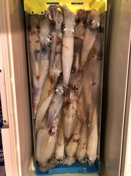 海龍丸（石川） 釣果