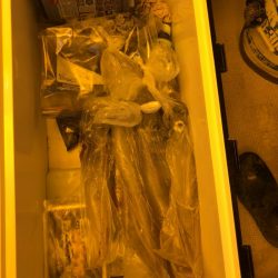 海龍丸（石川） 釣果