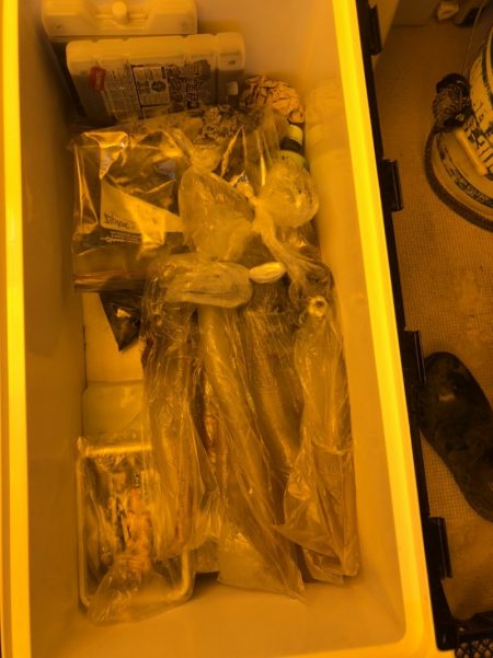 海龍丸（石川） 釣果