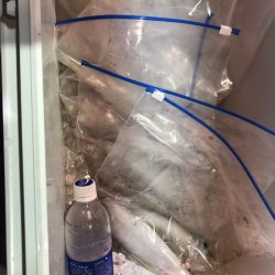 海龍丸（石川） 釣果