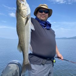 アマテラス 釣果