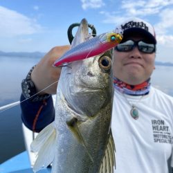 アマテラス 釣果