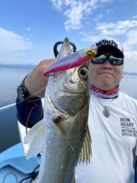 アマテラス 釣果