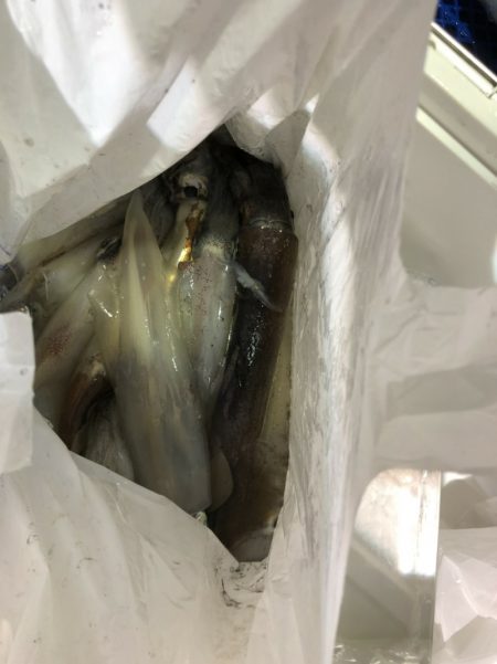 海龍丸（石川） 釣果