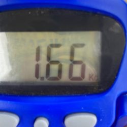 Ｖ−７ West 釣果