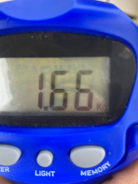 Ｖ−７ West 釣果