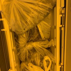 海龍丸（石川） 釣果