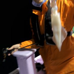 海龍丸（石川） 釣果