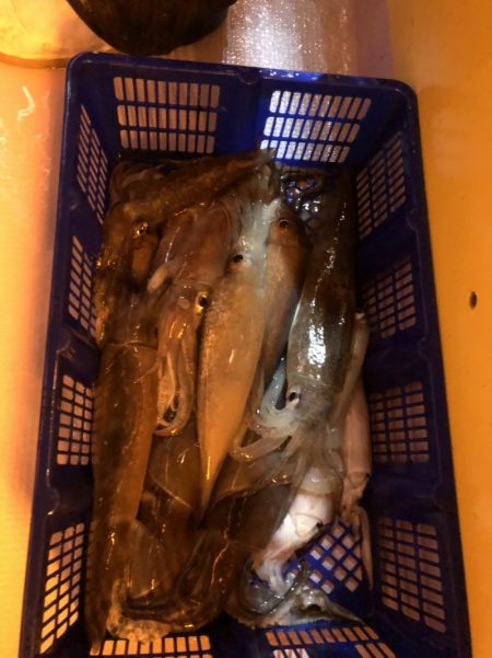 海龍丸（石川） 釣果