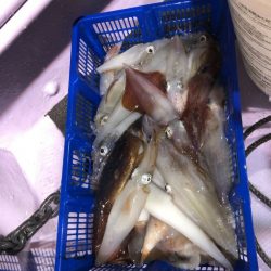 海龍丸（石川） 釣果