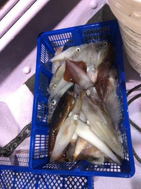 海龍丸（石川） 釣果