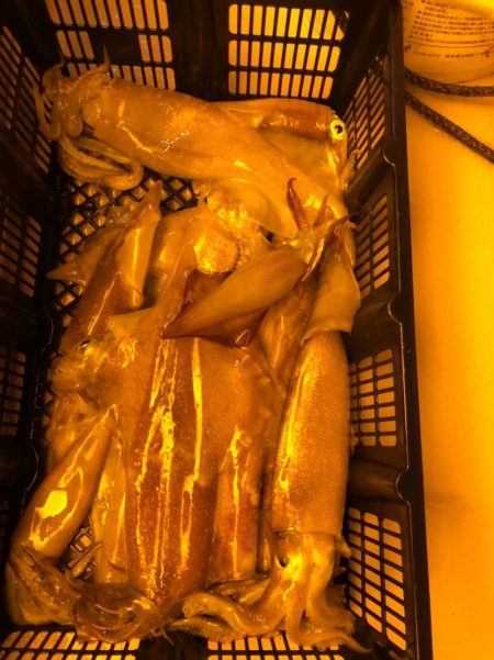 海龍丸（石川） 釣果