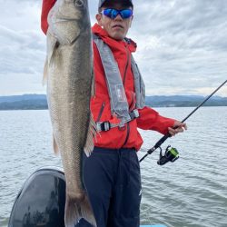 アマテラス 釣果