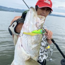 アマテラス 釣果