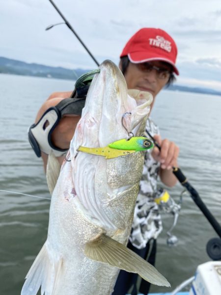 アマテラス 釣果