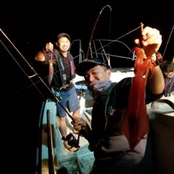 アマテラス 釣果