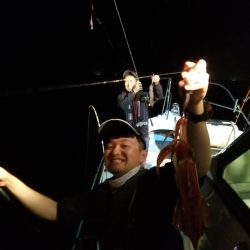 アマテラス 釣果