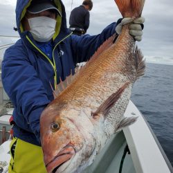 シーライオン 釣果
