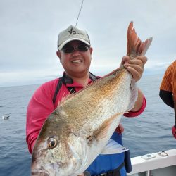 シーライオン 釣果