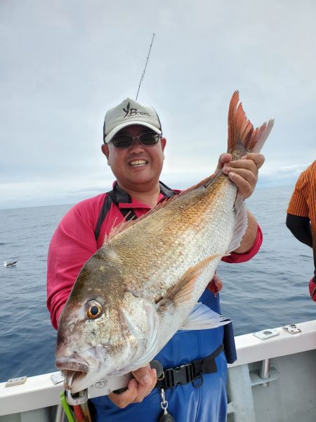 シーライオン 釣果