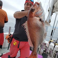 シーライオン 釣果