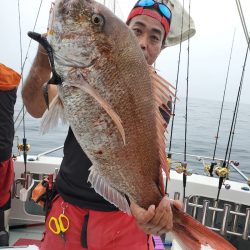 シーライオン 釣果