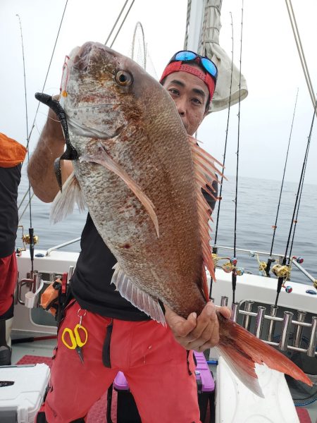 シーライオン 釣果