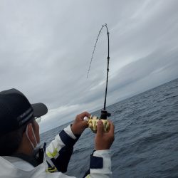 シーライオン 釣果