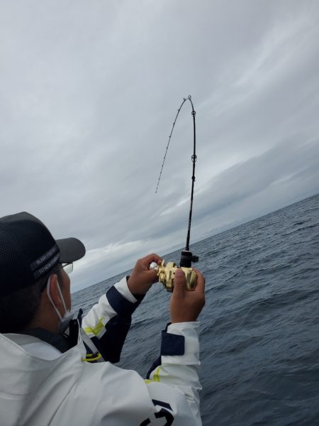 シーライオン 釣果