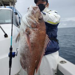 シーライオン 釣果