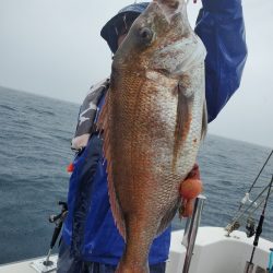 シーライオン 釣果