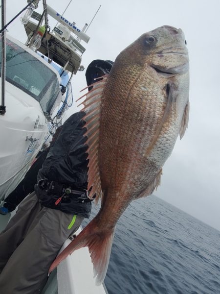 シーライオン 釣果