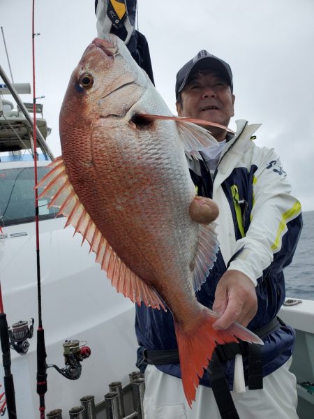 シーライオン 釣果