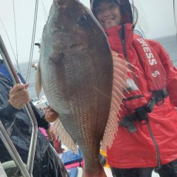 シーライオン 釣果