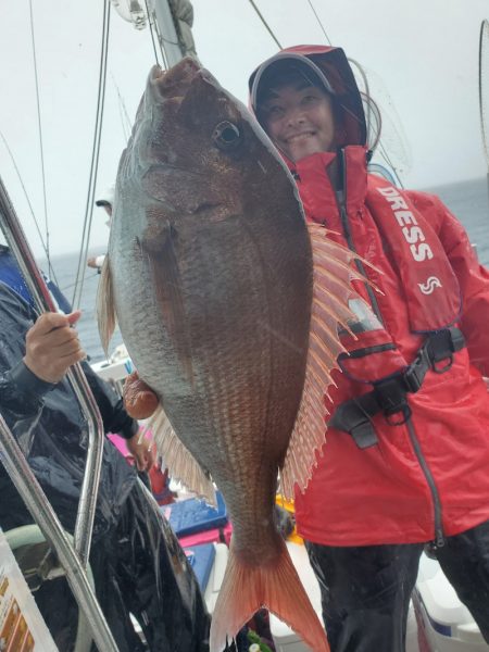 シーライオン 釣果