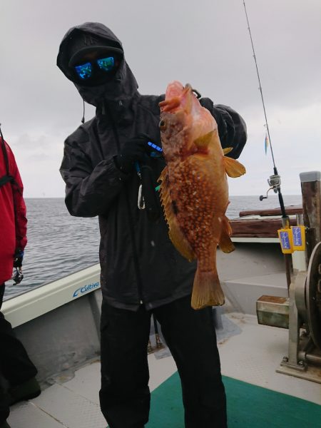 鷹王丸 釣果