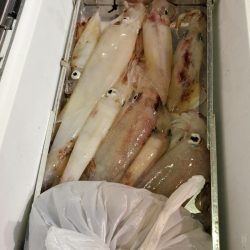 海龍丸（石川） 釣果