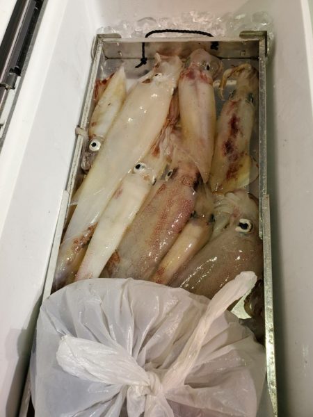 海龍丸（石川） 釣果