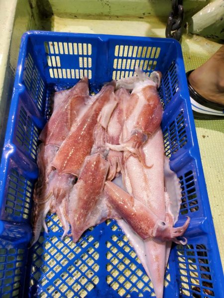 海龍丸（石川） 釣果