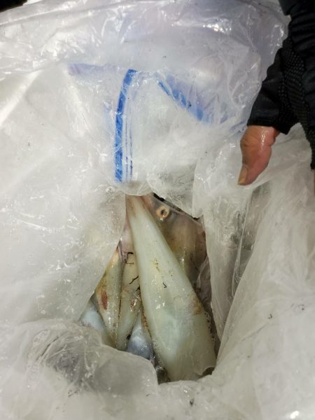 海龍丸（石川） 釣果