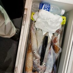 海龍丸（石川） 釣果