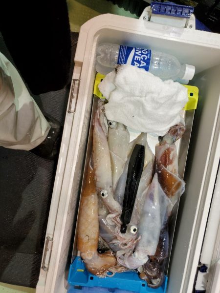 海龍丸（石川） 釣果