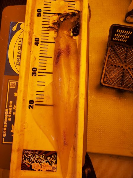 海龍丸（石川） 釣果